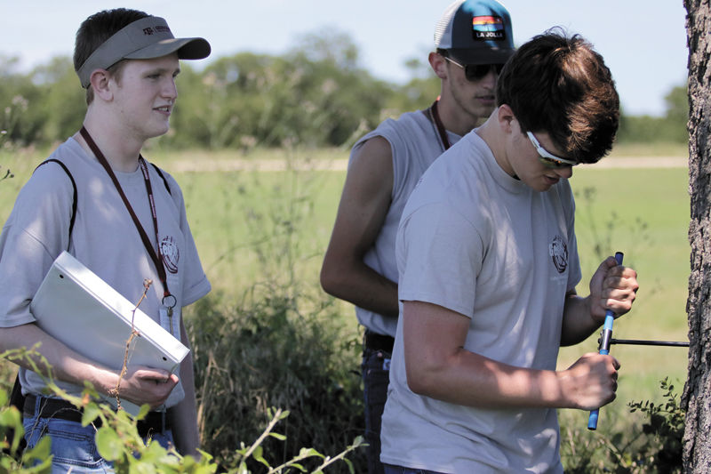 Texas A&M Geosciences Camp
